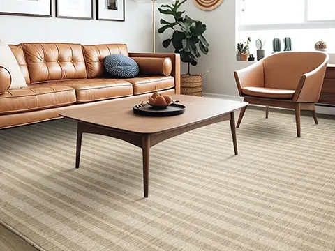 Stanton Carpet Promo Image